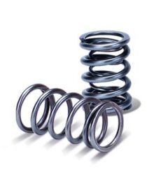 VAG 3.2 24V VR6, R32 Ressort double renforcé de soupape SUPERTECH