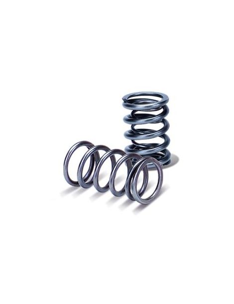 VAG 3.2 24V VR6, R32 Ressort double renforcé de soupape SUPERTECH