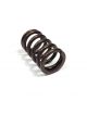 RENAULT Clio 2 RS 2.0 16V F4R 172 180cv Kit 16 ressorts de soupape renforcés Catcams