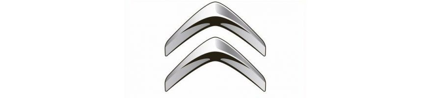 CITROËN - Kit durites air silicone