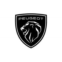 Pièces moteur forgé pour PEUGEOT 206
