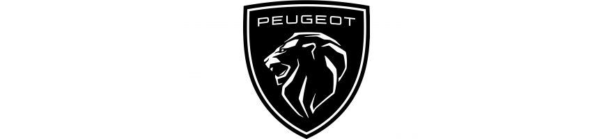 PEUGEOT - pistons bielles forgées